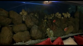 Delicious Isabel Stern bends down for sex