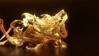 skinny teens gangbang jana red -katia sweet full bbc DAP-fisting